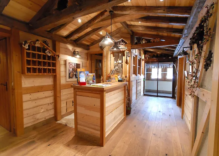 Cote Brune Hotel Les Deux Alpes
